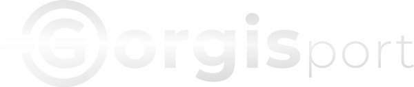WEB LOGO